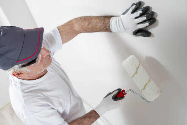 Best Real Estate Mold Inspection  in Auburn, KS