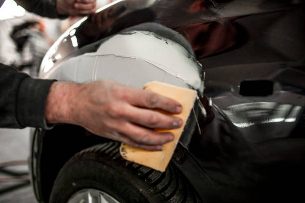 Best Mold Odor Removal Services  in Auburn, KS