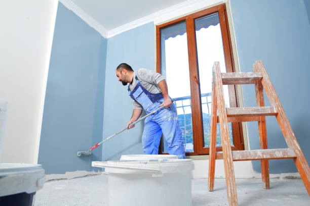  Auburn, KS Mold Removal Pros