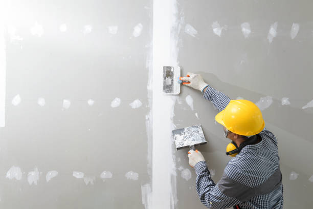Best Environmental Consulting for Mold Prevention  in Auburn, KS