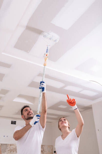 Best Biohazard Mold Removal  in Auburn, KS