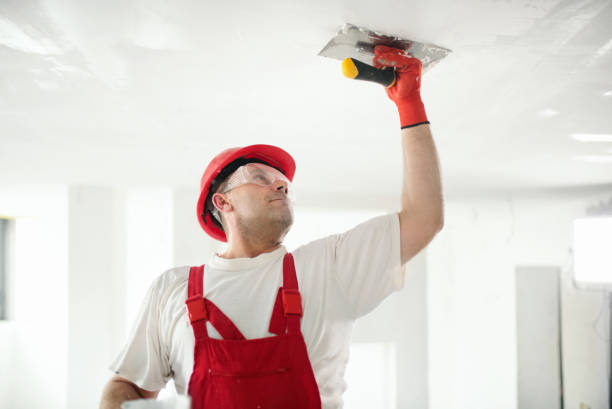 Best Mold-Related Health Consultation  in Auburn, KS