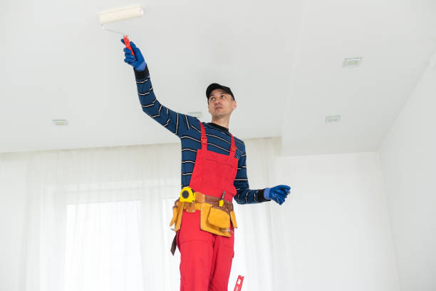 Best Basement Mold Removal  in Auburn, KS