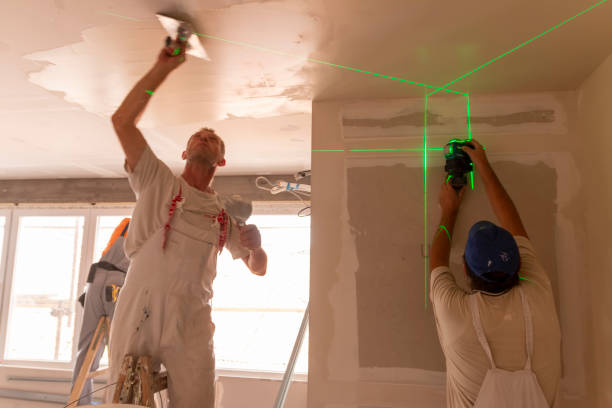 Best Black Mold Removal  in Auburn, KS