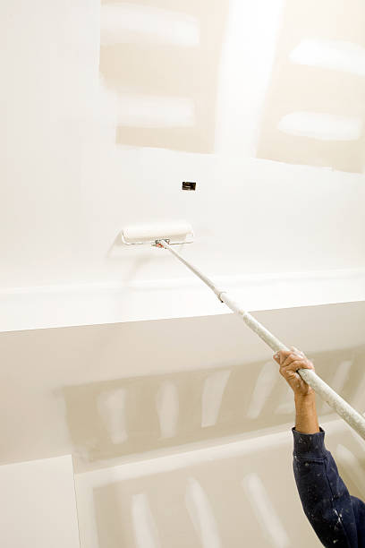 Best Emergency Mold Remediation  in Auburn, KS