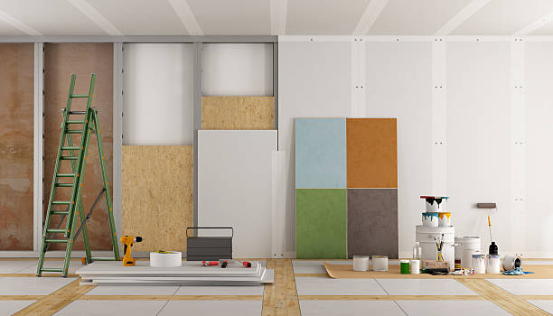 Best Mold Damage Restoration  in Auburn, KS