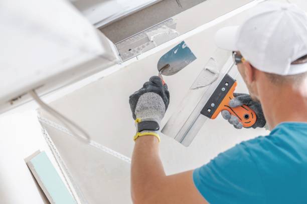 Best Comprehensive Air Testing for Mold Contaminants  in Auburn, KS